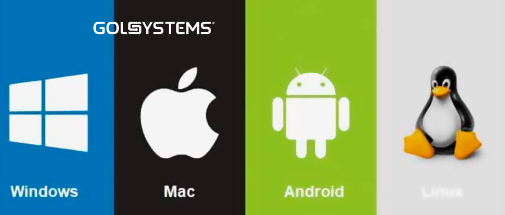 ¿Cuál es el sistema operativo más adecuado para su negocio?
