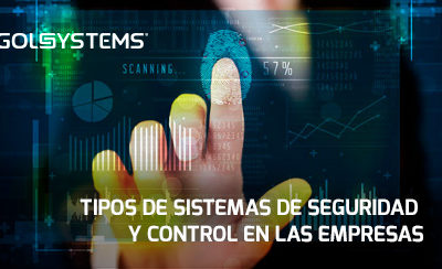 Tipos de sistemas de seguridad y control en las empresas